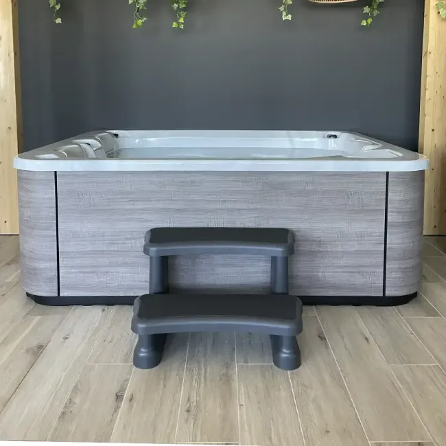 Accesoriu pentru Aquavia SPAS | Scară de acces de bază